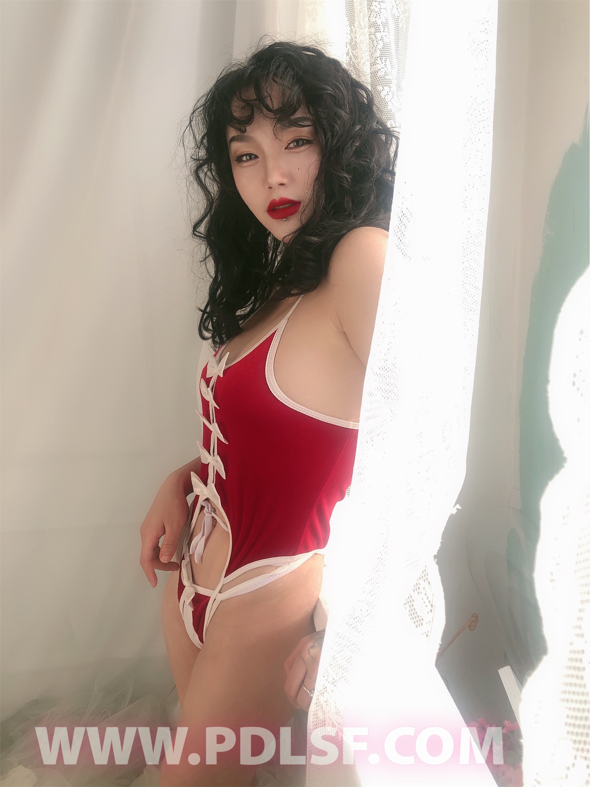 PDL潘多拉 2020.02.03 专辑No.276